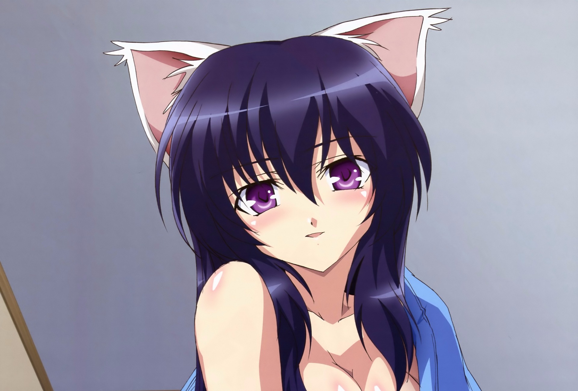 Omamori Himari